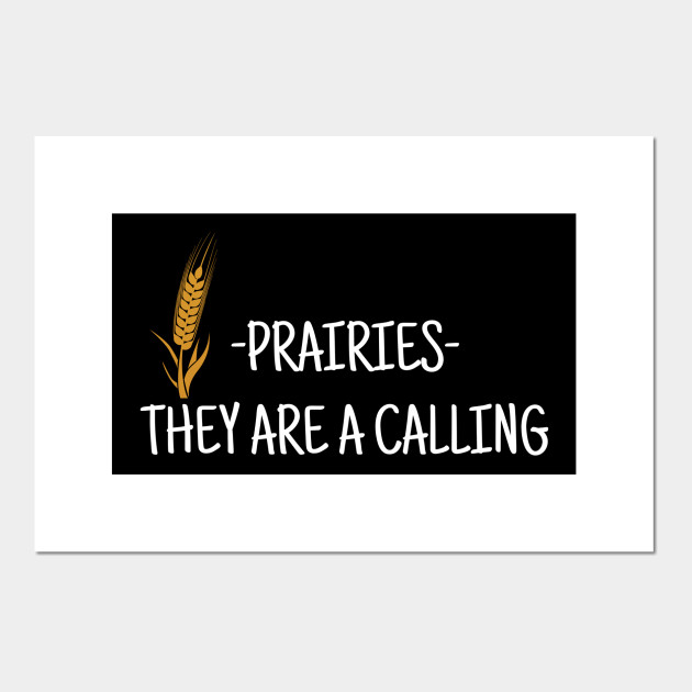 Prairies they are calling